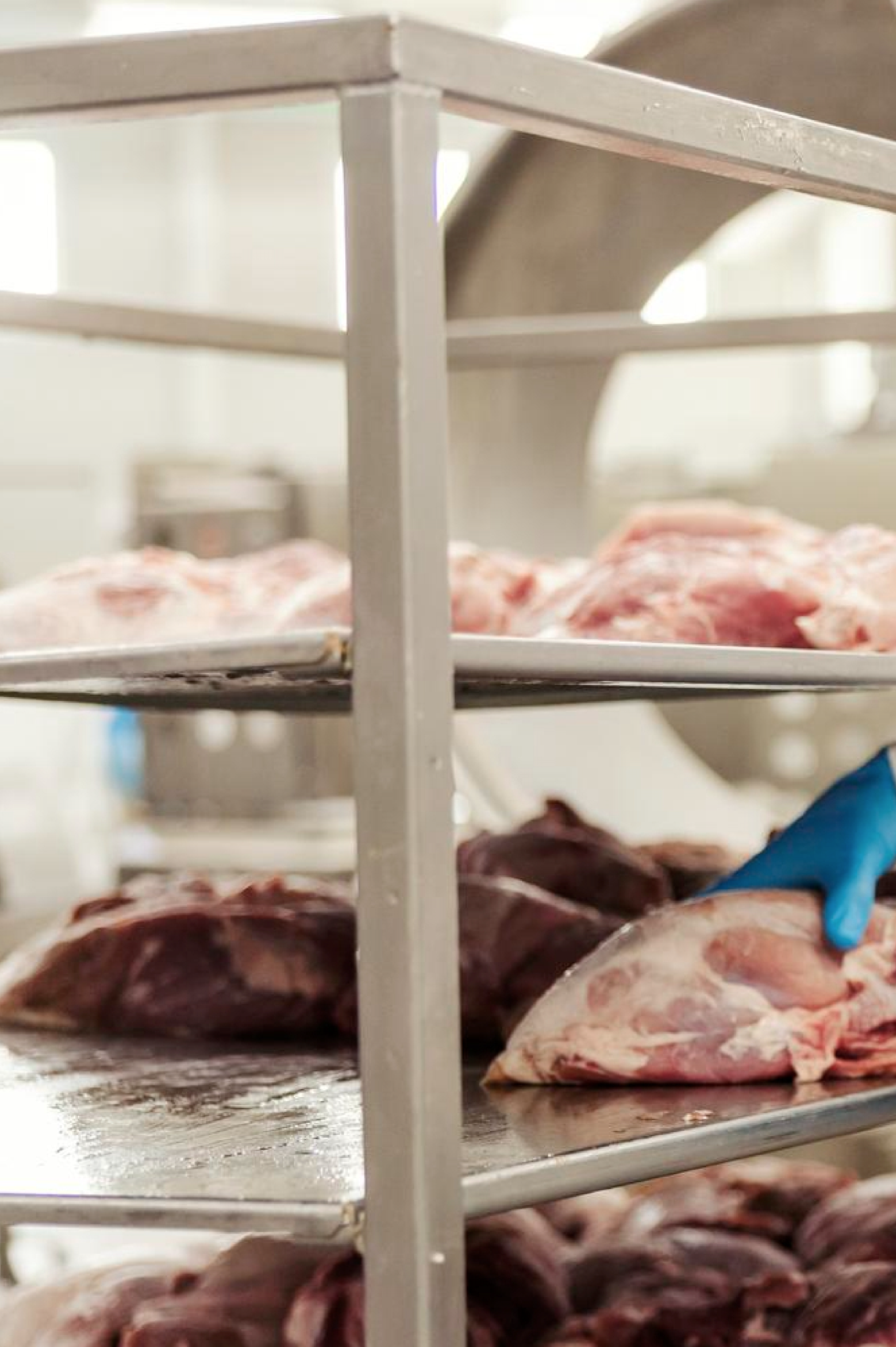 Gestión de la Seguridad en el Sector Alimenticio