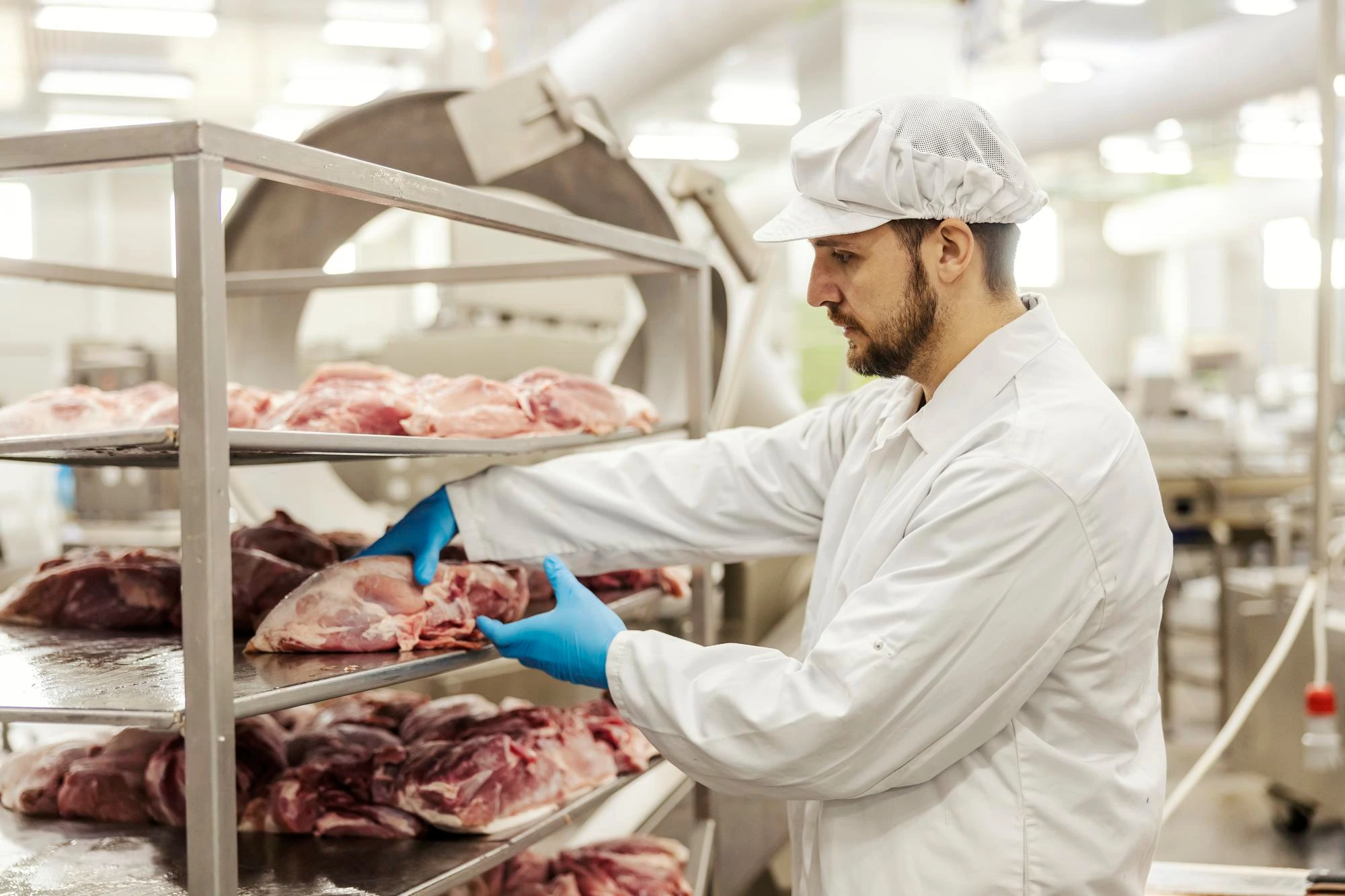 Gestion Seguridad Sector alimenticio