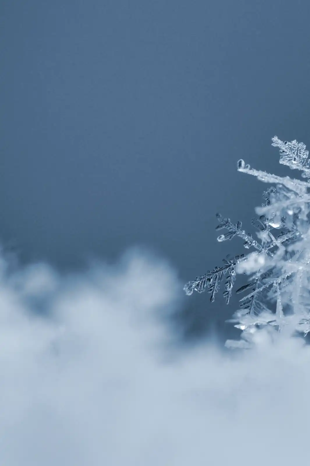 Copos de Nieve