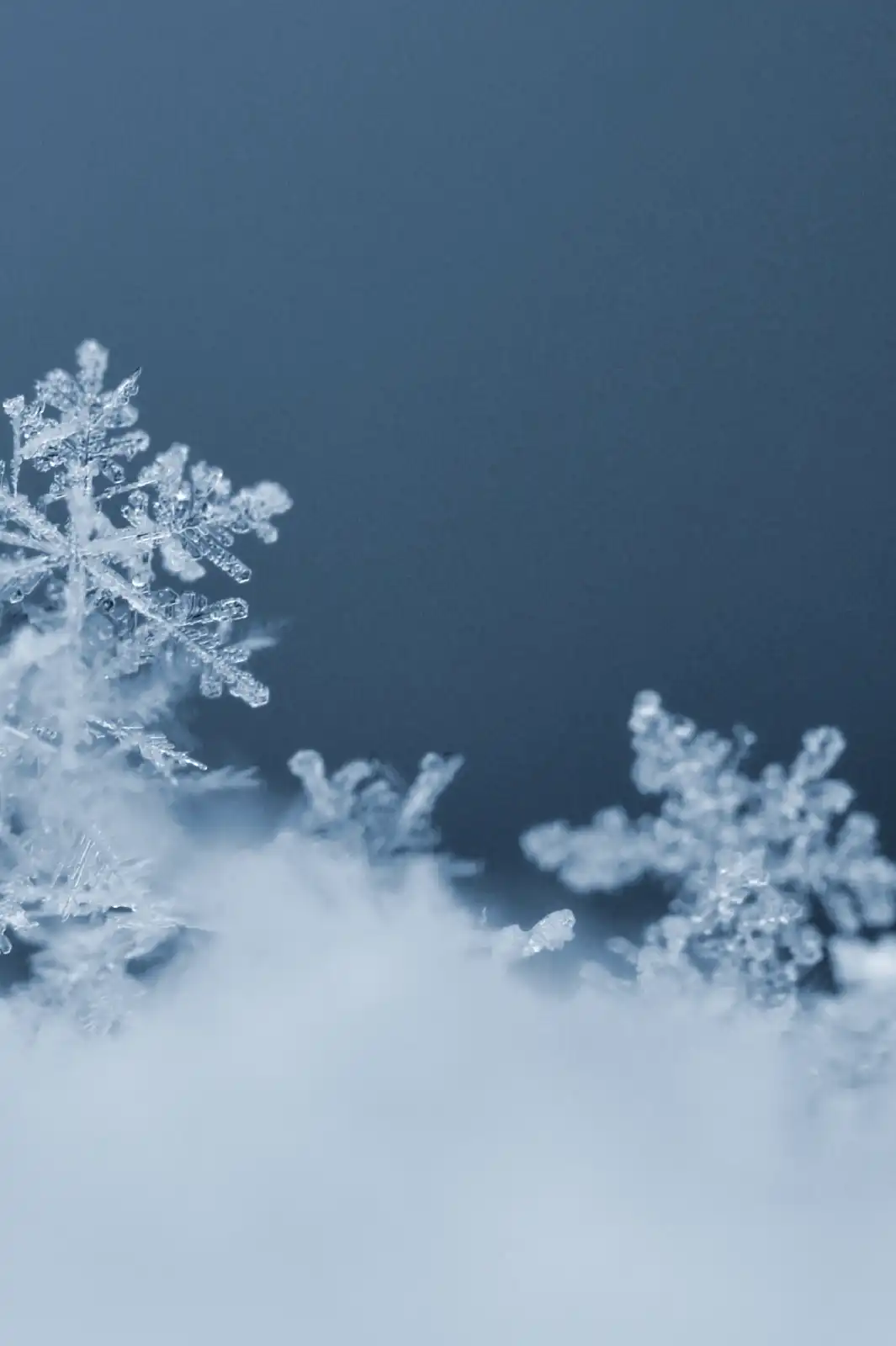 Copos de Nieve