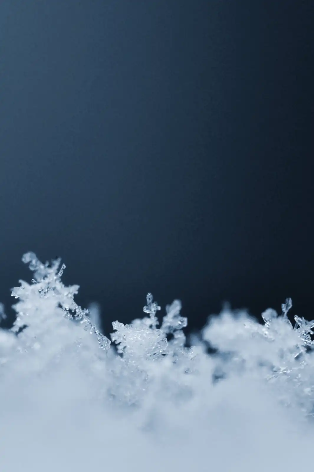 Copos de Nieve